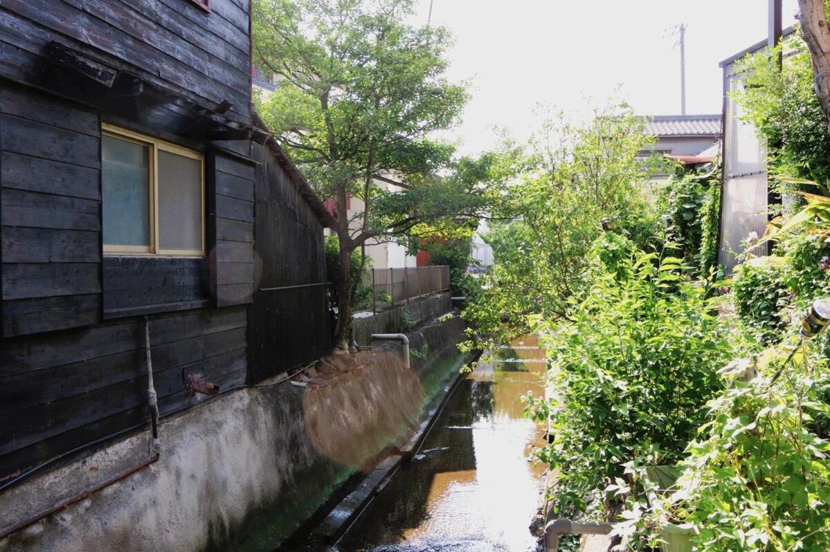 宿たぬきのねどこ Guesthouse Tanuki Tokoname Exteriör bild